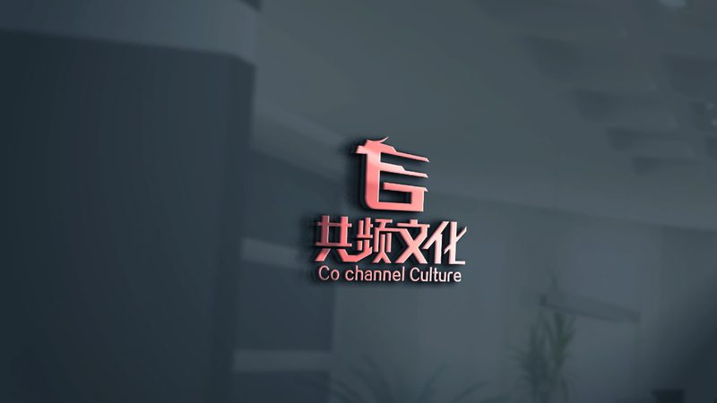 🎥微纪录片制作：揭秘微纪录片拍摄制作公司的核心要素